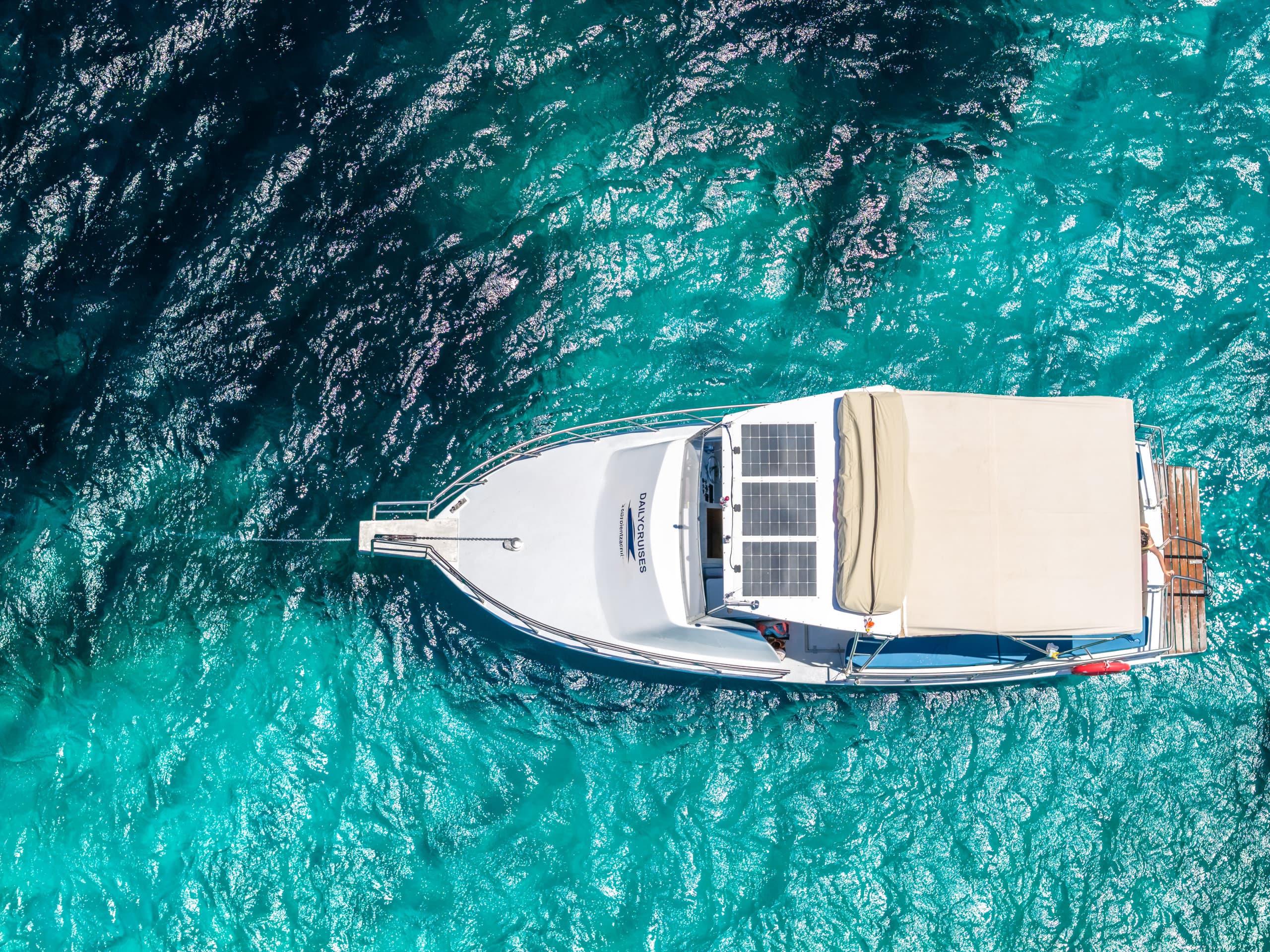 Sapientza Cruise